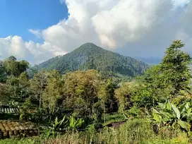 Dijual tanah tawangmangu