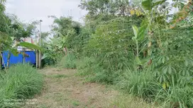 KEBUN DATAR   AKSES MOBIL  3 KM KE GT DARANGDAN.