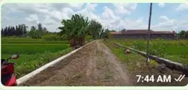 tanah nyaman dan asri seyegan dekat tol jogja