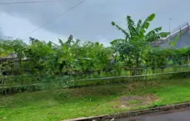 Tanah Pakuan tajur