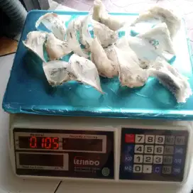 Sarang burung walet