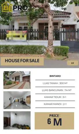 RUMAH DIJUAL MURAH BINTARO SEKTOR 1