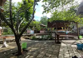 Dijual Rumah  Makan Luas 1/2  Hektar Jalan Raya Propinsi Yogyakarta