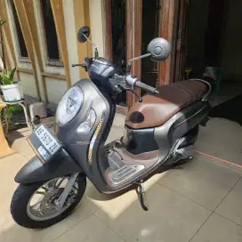 Scoopy keyless brown matle 2023 gbm bisa tunai atau kredit