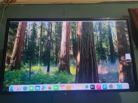 mac mini late 2014 sequoia ssd 256gb