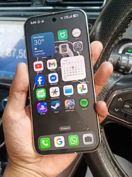 Google Pixel 9 Pro XL 256GB