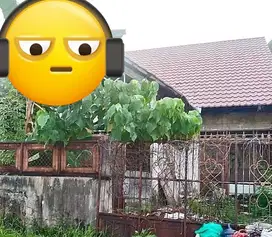 LUAS 9 X 18 RUMAH DI BUMI PERMATA HIJAU ALAUDDIN