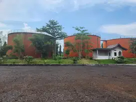 DIJUAL PABRIK KELAPA SAWIT dan PERKEBUNAN SAWIT di Pelalawan RIAU