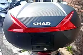 Top Box Motor SHAD SH47