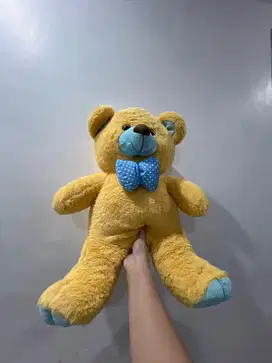 Beruang coklat pita biru