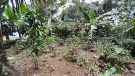 Dijual Murah Tanah Kebun Manggis 1692 m2 di Kampung Bojong Puwakarta