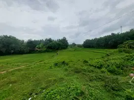Promo 500Rb-an Kavling SHM Area Cibarusah. View Sawah & Bukit