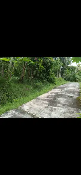 JUAL TANAH DI BANYUROTO NANGGULAN VIEW SAWAH