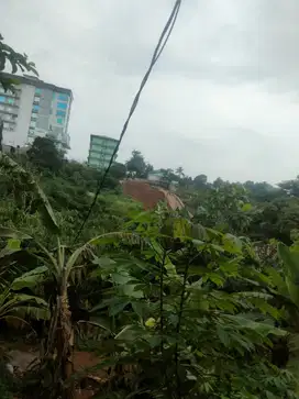Jual Tanah SHM 80 M2 di jl Tambora kampus UPN limo