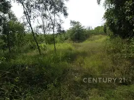 Tanah Industri Dan Komersial SHM Di Jl Cikarang Cibarusah, Cikarang