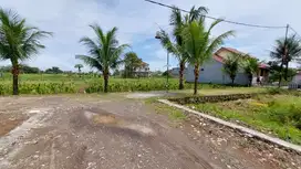 Tanah kavling Bisa Di Cicil 12x Tanpa Bunga, Dekat Terminal Laladon