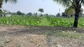 Hanya tinggal 1 unit, Kavling harga 2 Jtan. Dekat PMK IPB