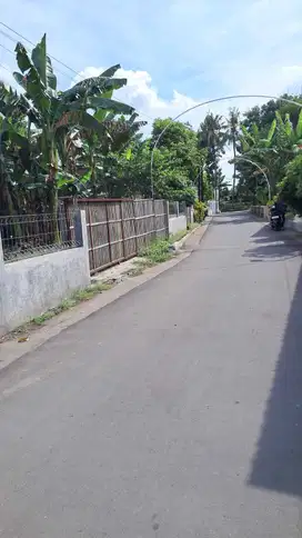 Tanah pelarangan dekta candi sambisari purwomartani