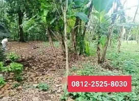 TURUN HARGA Tanah luas 2560m di Karanglewas di Banyumas MD