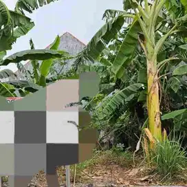 taman pinang indah Sidoarjo