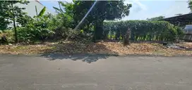 Tanah murah bawah pasaran suhat jalan 8 m bagus buat kos elite dkt UB