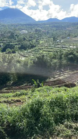dijual tanah view gunung lokasi baturiti tabanan