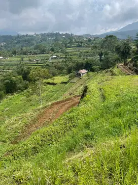 Jual Tanah Luas 226 Are View Bukit Gunung Di Baturiti Bedugul Bali