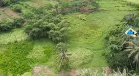 Dijual Tanah di Jalan Raya Pemda Tigaraksa - Tangerang, Banten