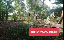 MURAH Tanah di Bojong Purbalingga MD