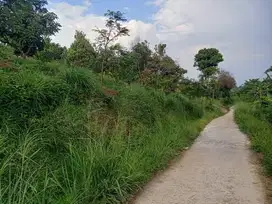 Jual Tanah 15 ha di cigudeg Bogor siap bangun