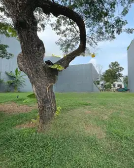 Dijual Jarang ada Kavling PIK diamond golf uk680m2 at Jakarta Utara
