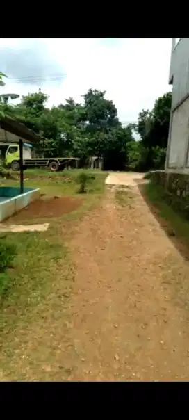 juql Tanah shm luas 4,8 ha di jl MT Haryono Cileungsi Bogor