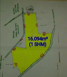 Jual Tanah SHM 1,6 Ha di jl Raya Bintaro permai Jaksel Njop