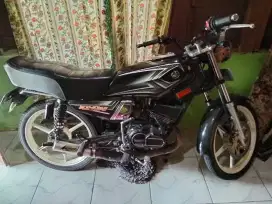 rx king thn1989