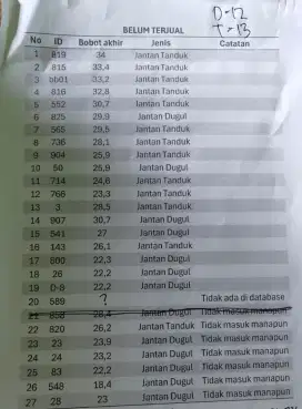 Dijual domba jantan tanduk dan dugul kelebihan stock qurban