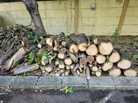 KAYU BAKAR GRATIS