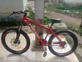 Jual sepeda pacific