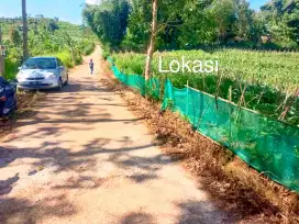 JUAL LAHAN KEBUN DI CIWIDEY BANDUNG SELATAN