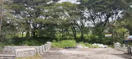 Jual cepat tanah 0 jalan raya gempol-malang, Kabupaten pasuruan