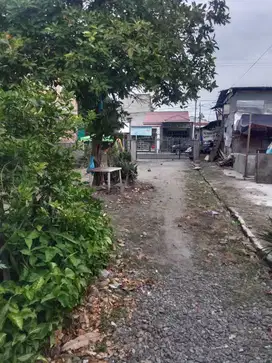 Jual tanah daerah cemara