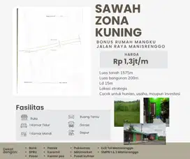 TANAH SAWAH ZONA KUNING BONUS RUMAH SIAP HUNI MANISRENGGO