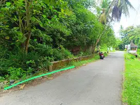 INVESTASI TANAH PEKARANGAN 130M2 VIEW SAWAH DEKAT GEBLEK PARI.JK13344