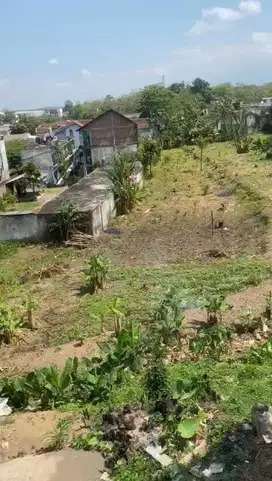 Dijual Tanah Hadap Timur di Jember Jawa Timur By Rumah Chinida