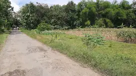 TANAH MURAH DEKAT PASAR GUNUNGSARI MLARAK