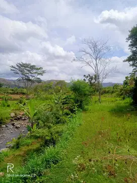 INVESTASI TANAH SAWAH 360M2 HARGA 195JT DEKAT PUNCAK SAKA.JK13340