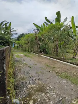 1 JUTAAN, Tanah Turi Jogja, Dekat Jl. Palagan Tentara Pelajar