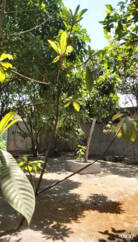 Dijual tanah kav perum. SumberPorong Lawang