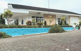 VILLA HOTEL INDO ALAM BISA HOTEL GREEN APPLE KOTA BUNGA MURAH MEWAH