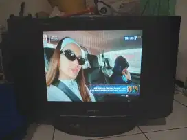 Tv sharp Slim alexander bonito