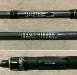 Joran Iroly lesat Tech 165 cm 7-15lbs